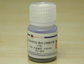 SDS-PAGE蛋白上样缓冲液(1X)